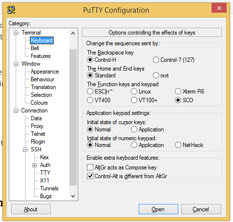 Correct keyboard settings for using putty with SCO