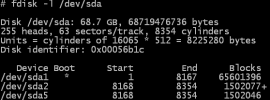 Image showing output of fdisk command, reporting the size incorrectly